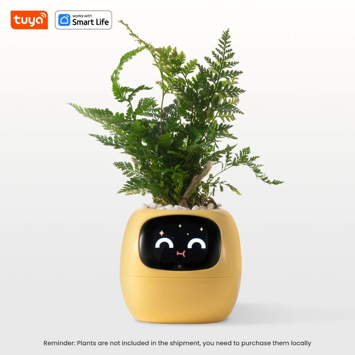 The HousePlantBot