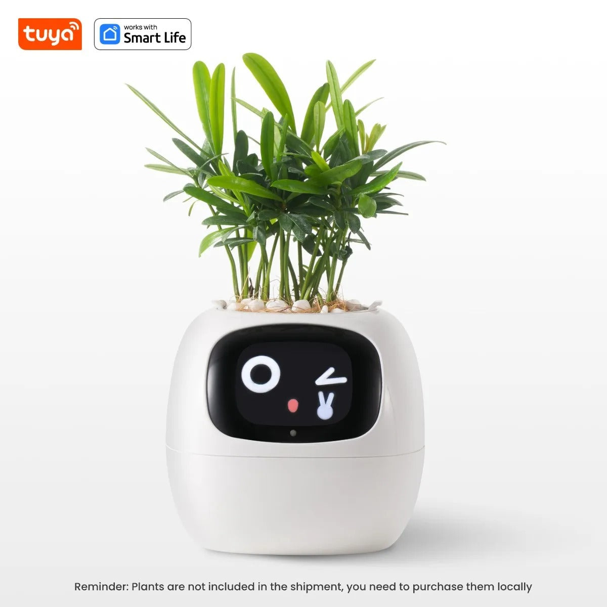 The HousePlantBot