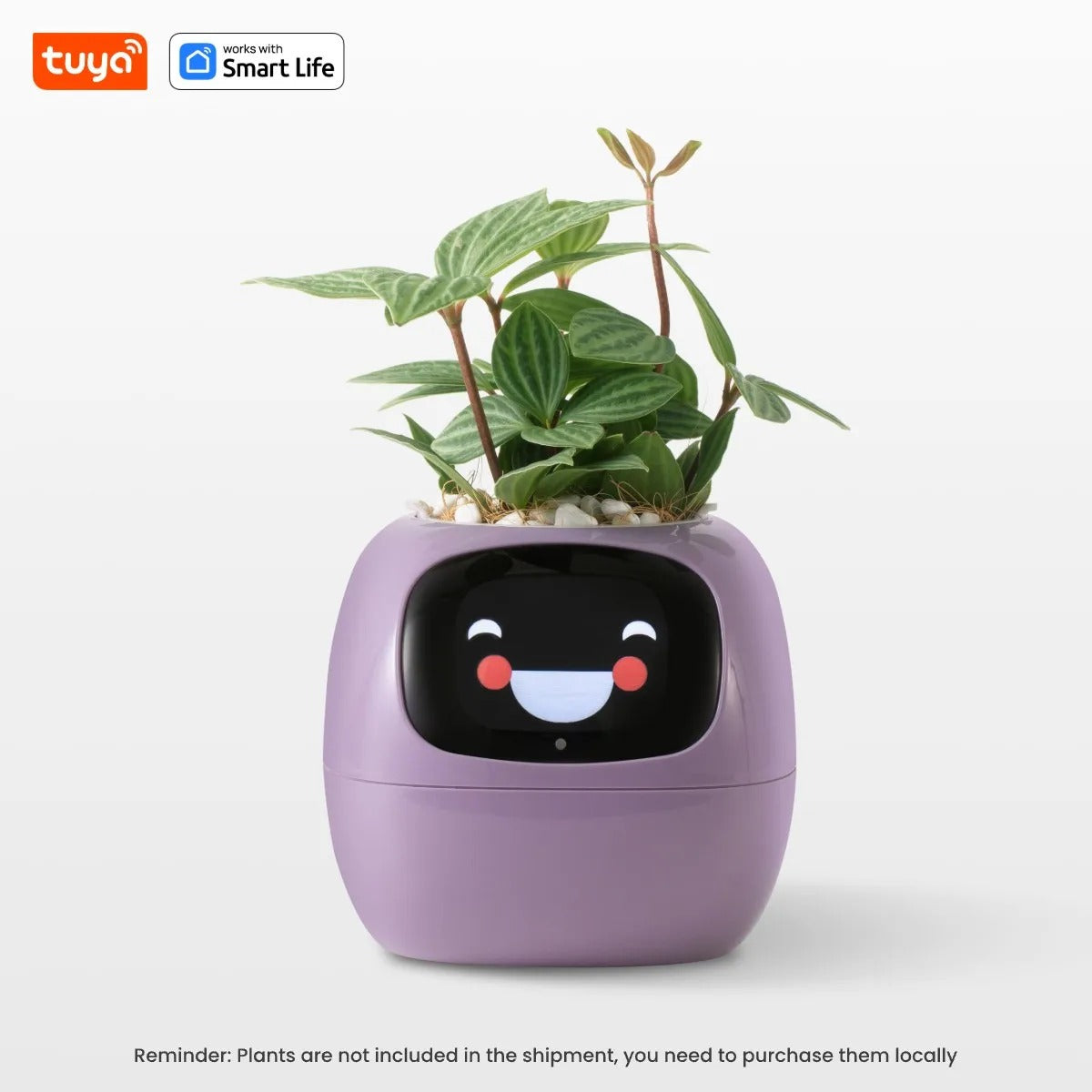 The HousePlantBot
