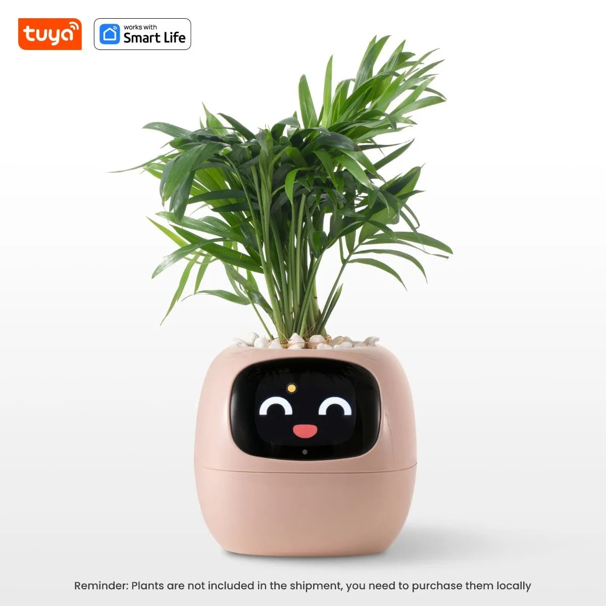 The HousePlantBot