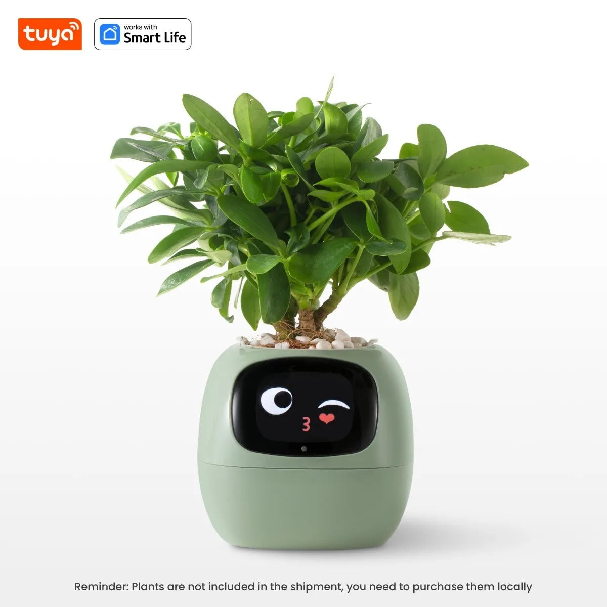 The HousePlantBot