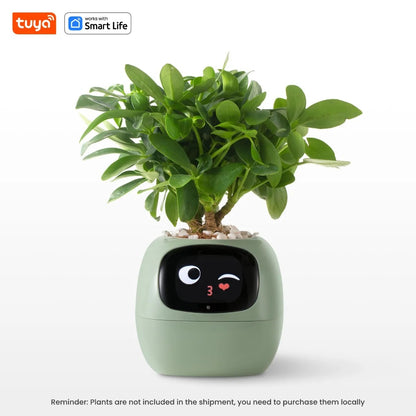 The HousePlantBot